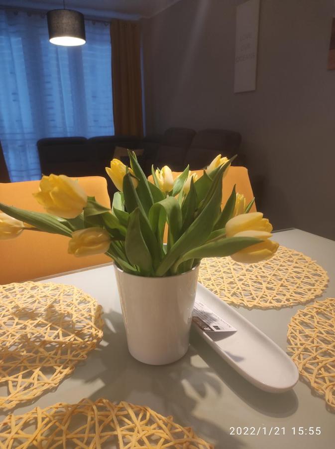 Przytulny Apartament, 2 Pokoje Nad Morzem Apartman Gdańsk Kültér fotó